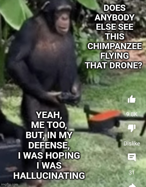 What Are People Going To Do Next? | DOES ANYBODY ELSE SEE THIS CHIMPANZEE FLYING THAT DRONE? YEAH, ME TOO, BUT, IN MY DEFENSE, I WAS HOPING I WAS HALLUCINATING | image tagged in memes,what the,are you kidding me,chimpanzee,smart chimps,intelligence | made w/ Imgflip meme maker