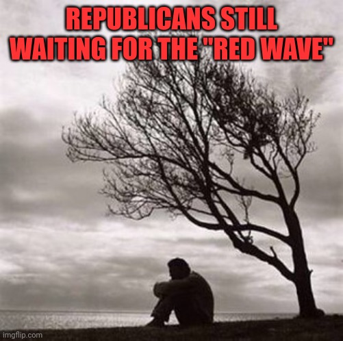 They said there was going to be a red wave... Trump never lies.. does he? | REPUBLICANS STILL WAITING FOR THE "RED WAVE" | image tagged in trump sucks,republicans,snowflakes,losing,lol so funny | made w/ Imgflip meme maker