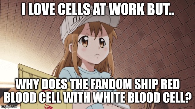 My only question. Why do we ship our cells together?? I'm not judging, ship what you want. But why??? | I LOVE CELLS AT WORK BUT.. WHY DOES THE FANDOM SHIP RED BLOOD CELL WITH WHITE BLOOD CELL? | image tagged in anone anone | made w/ Imgflip meme maker