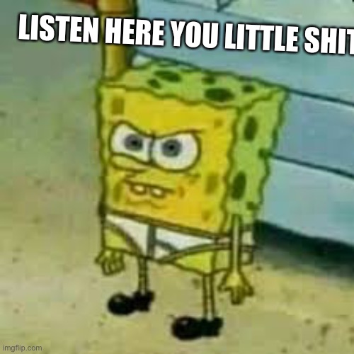 Spongebob In Underwear | LISTEN HERE YOU LITTLE SHIT | image tagged in spongebob in underwear | made w/ Imgflip meme maker