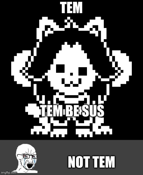 tem no | TEM; TEM BE SUS; NOT TEM | image tagged in custom template | made w/ Imgflip meme maker