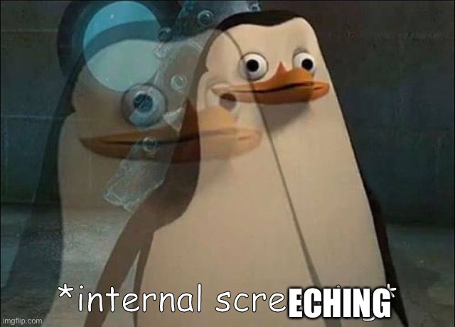 Private Internal Screaming | ECHING | image tagged in private internal screaming | made w/ Imgflip meme maker