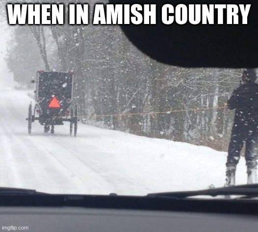WHEN IN AMISH COUNTRY | image tagged in amish | made w/ Imgflip meme maker