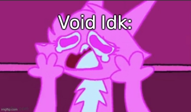 Sad Fuzzy Man | Void Idk: | image tagged in sad fuzzy man | made w/ Imgflip meme maker