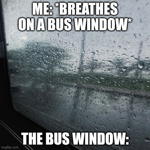 Fax | ME: *BREATHES ON A BUS WINDOW*; THE BUS WINDOW: | image tagged in fax,so true memes,relatable | made w/ Imgflip meme maker