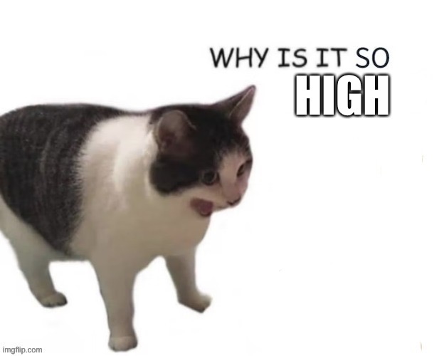 WHY IS IT SO EXPENSIVE | HIGH | image tagged in why is it so expensive | made w/ Imgflip meme maker