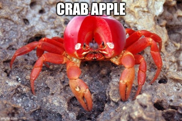 CRAB APPLE | made w/ Imgflip meme maker