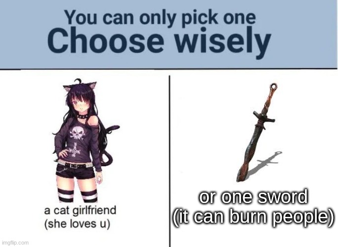 which one? |  or one sword (it can burn people) | image tagged in choose wisely | made w/ Imgflip meme maker