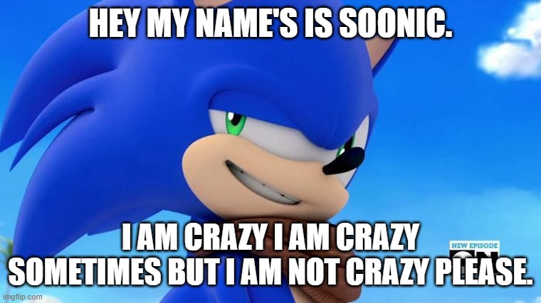 Sonic Meme | HEY MY NAME'S IS SOONIC. I AM CRAZY I AM CRAZY SOMETIMES BUT I AM NOT CRAZY PLEASE. | image tagged in sonic meme | made w/ Imgflip meme maker