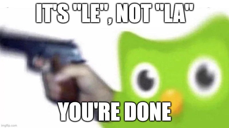 Duo | IT'S "LE", NOT "LA"; YOU'RE DONE | image tagged in duolingo gun,duolingo bird,memes | made w/ Imgflip meme maker