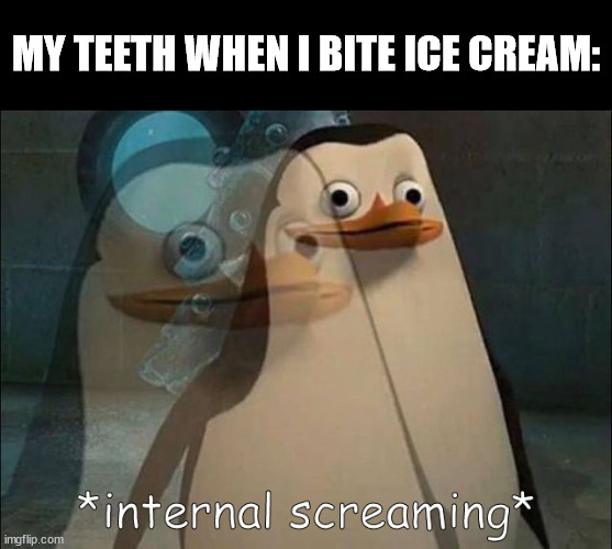 ow | MY TEETH WHEN I BITE ICE CREAM: | image tagged in private internal screaming,ice cream,teeth | made w/ Imgflip meme maker