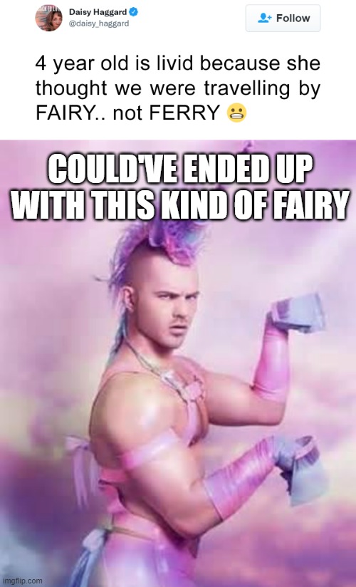 Fairy Ferry | COULD'VE ENDED UP WITH THIS KIND OF FAIRY | image tagged in gay unicorn | made w/ Imgflip meme maker