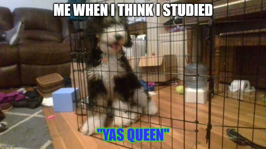 So happy | ME WHEN I THINK I STUDIED; "YAS QUEEN" | made w/ Imgflip meme maker