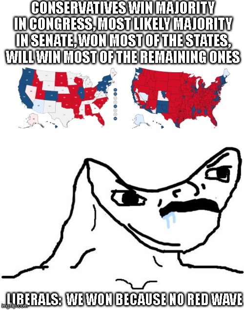 its a little confusing when the runner up is gloating | CONSERVATIVES WIN MAJORITY IN CONGRESS, MOST LIKELY MAJORITY IN SENATE, WON MOST OF THE STATES, WILL WIN MOST OF THE REMAINING ONES; LIBERALS:  WE WON BECAUSE NO RED WAVE | image tagged in angry brainlet | made w/ Imgflip meme maker