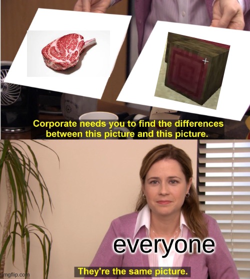meat block? | everyone | image tagged in memes,they're the same picture | made w/ Imgflip meme maker