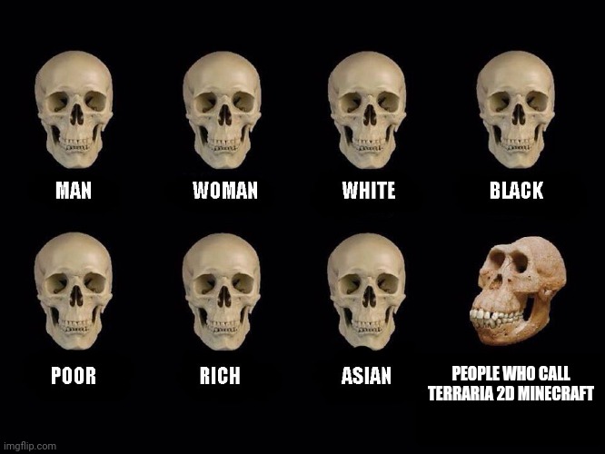 empty skulls of truth | PEOPLE WHO CALL TERRARIA 2D MINECRAFT | image tagged in empty skulls of truth | made w/ Imgflip meme maker