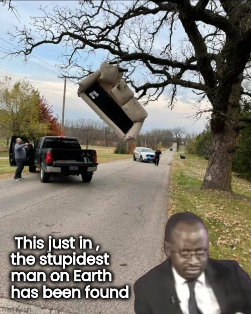 Can't even figure how . . . | This just in ,
 the stupidest
 man on Earth 
 has been found | image tagged in your friend needs help moving,tree,couch,tree house,well yes but actually no | made w/ Imgflip meme maker