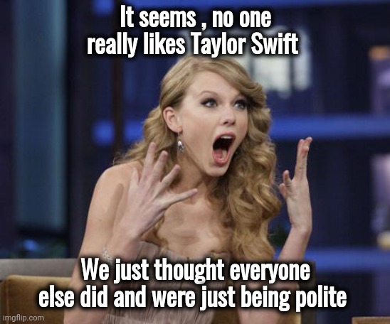 You should never assume | It seems , no one really likes Taylor Swift We just thought everyone else did and were just being polite | image tagged in taylor swift,musician jokes,popular music,well yes but actually no,who asked | made w/ Imgflip meme maker