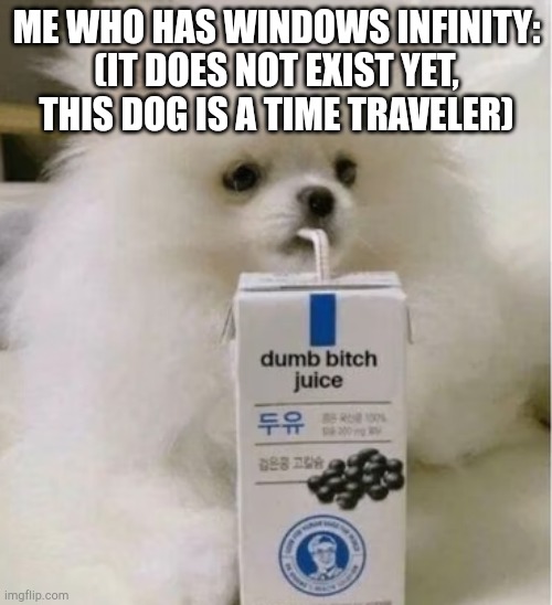 dumb bitch juice | ME WHO HAS WINDOWS INFINITY:
(IT DOES NOT EXIST YET, THIS DOG IS A TIME TRAVELER) | image tagged in dumb bitch juice | made w/ Imgflip meme maker