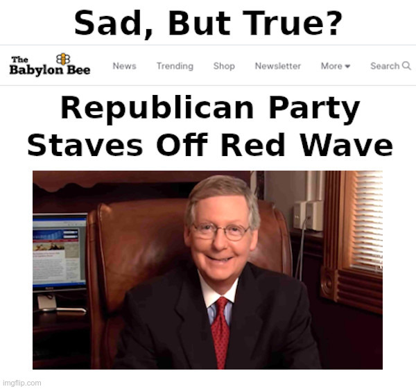 Sad, But True? | image tagged in babylon bee,mitch mcconnell,rino | made w/ Imgflip meme maker