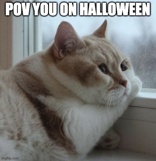 Life is Pointless | POV YOU ON HALLOWEEN | image tagged in life is pointless | made w/ Imgflip meme maker
