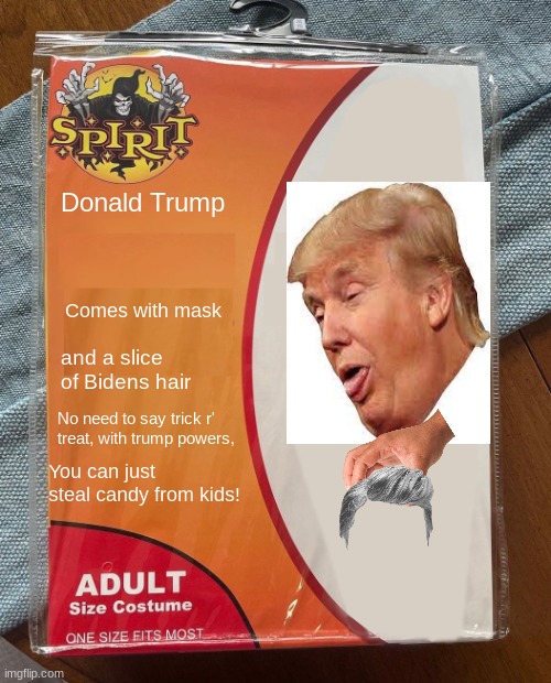 Costume | Donald Trump; Comes with mask; and a slice of Bidens hair; No need to say trick r' treat, with trump powers, You can just steal candy from kids! | image tagged in spirit halloween | made w/ Imgflip meme maker