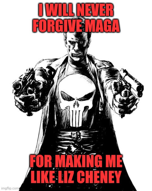 It's time to punish MAGA, and that punishment must be harsh (a la Andrew Anglin re liberals). | I WILL NEVER FORGIVE MAGA; FOR MAKING ME LIKE LIZ CHENEY | image tagged in maga terrorists,maga liars,maga traitors,just kidding,repentant maga should be forgiven,but not necessarily trusted | made w/ Imgflip meme maker