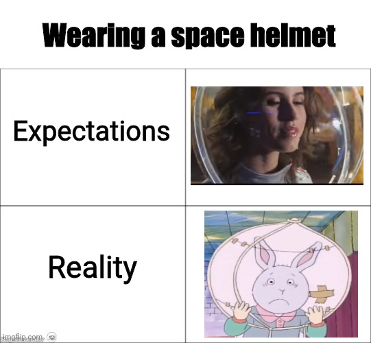 Chanel Dilecta Meme | Wearing a space helmet; Expectations; Reality | image tagged in basic four panel meme,funny,eurovision,junior,arthur,relatable memes | made w/ Imgflip meme maker