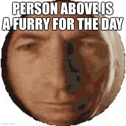 If they already are, they have to talk in furryspeak for a day | PERSON ABOVE IS A FURRY FOR THE DAY | image tagged in ball goodman | made w/ Imgflip meme maker