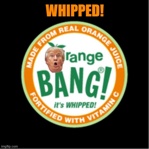 Whipped For Your Enjoyment! | WHIPPED! | image tagged in trump,midterms,donald trump,donald trump you're fired | made w/ Imgflip meme maker