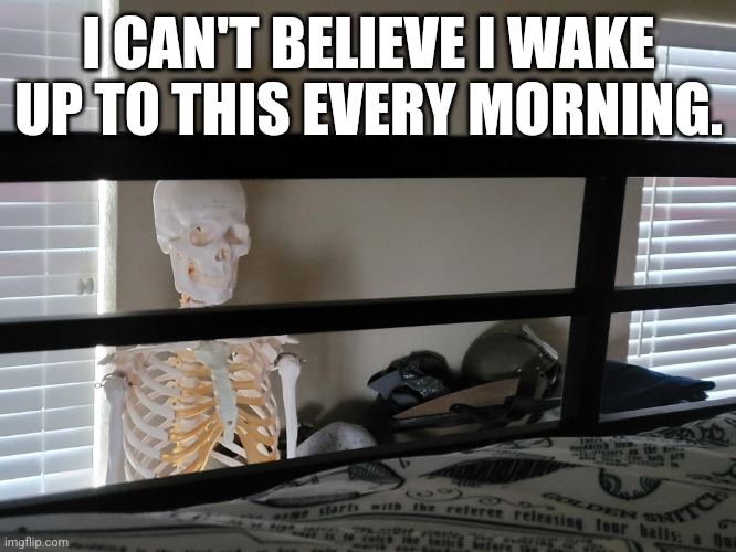 I CAN'T BELIEVE I WAKE UP TO THIS EVERY MORNING. | made w/ Imgflip meme maker