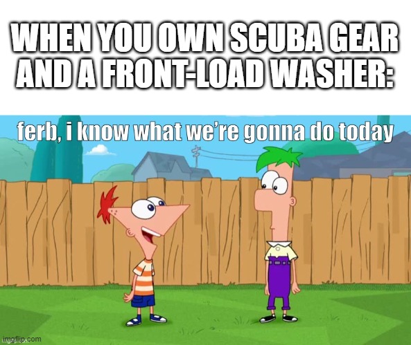 Ferb, i know what we’re gonna do today | WHEN YOU OWN SCUBA GEAR AND A FRONT-LOAD WASHER: | image tagged in ferb i know what we re gonna do today | made w/ Imgflip meme maker