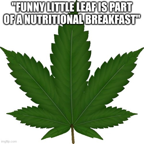 weed | "FUNNY LITTLE LEAF IS PART OF A NUTRITIONAL BREAKFAST" | image tagged in weed | made w/ Imgflip meme maker