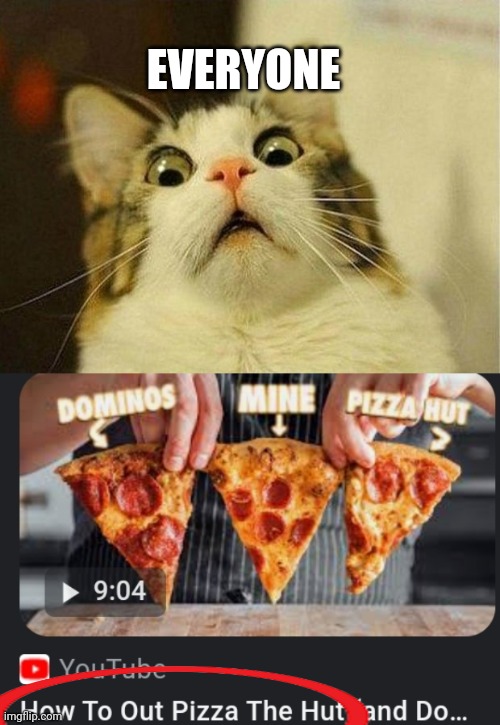 EVERYONE | image tagged in memes,scared cat,pizza hut | made w/ Imgflip meme maker