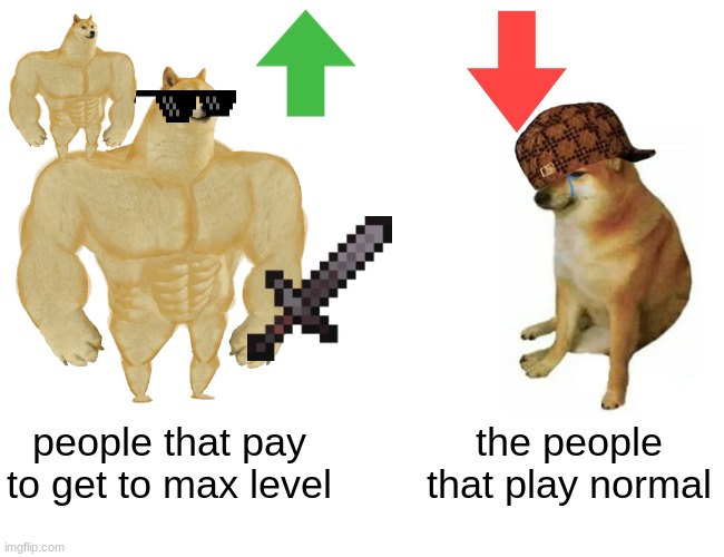 Buff Doge vs. Cheems Meme | people that pay to get to max level; the people that play normal | image tagged in memes,buff doge vs cheems,lol,fax | made w/ Imgflip meme maker