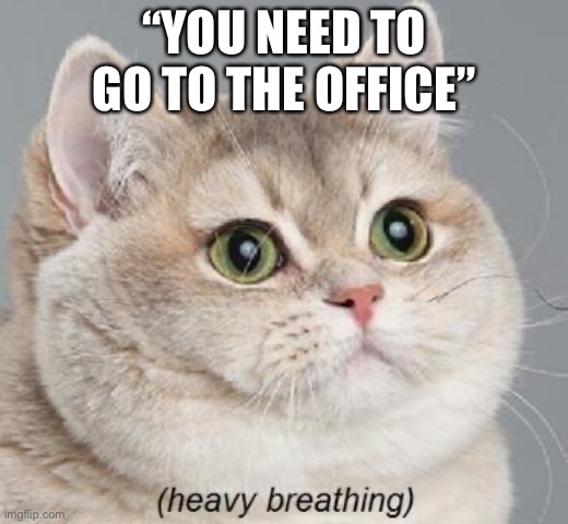 Dis true | “YOU NEED TO GO TO THE OFFICE” | image tagged in memes,heavy breathing cat | made w/ Imgflip meme maker