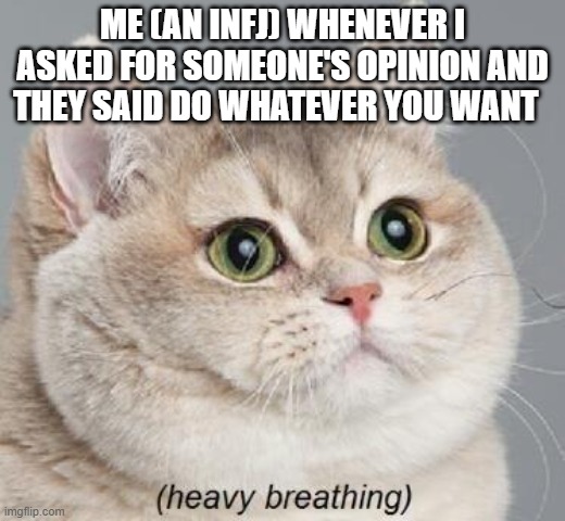INFJ | ME (AN INFJ) WHENEVER I ASKED FOR SOMEONE'S OPINION AND THEY SAID DO WHATEVER YOU WANT | image tagged in memes,heavy breathing cat | made w/ Imgflip meme maker