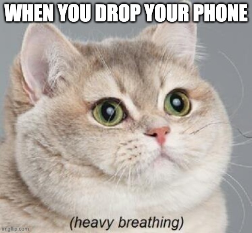 P H O N E | WHEN YOU DROP YOUR PHONE | image tagged in memes,heavy breathing cat,phone | made w/ Imgflip meme maker