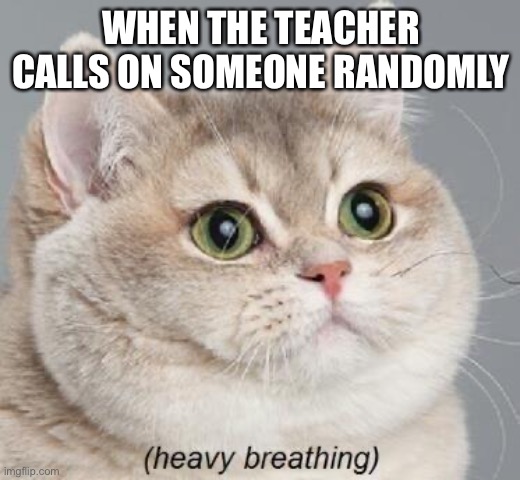 GET BEHIND COVER | WHEN THE TEACHER CALLS ON SOMEONE RANDOMLY | image tagged in memes,heavy breathing cat | made w/ Imgflip meme maker
