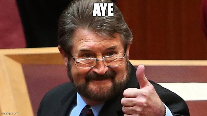 Derryn Hinch Approves | AYE | image tagged in derryn hinch approves | made w/ Imgflip meme maker