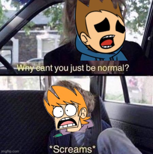 Bruh | image tagged in why can't you just be normal,eddsworld | made w/ Imgflip meme maker