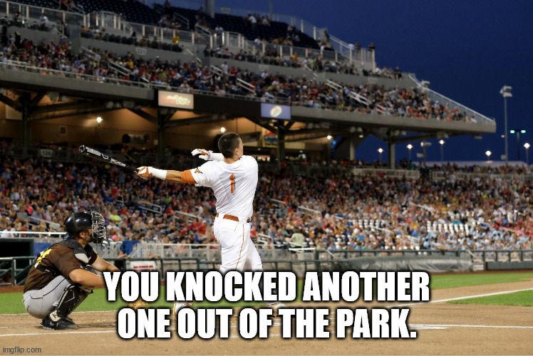Home Run | YOU KNOCKED ANOTHER ONE OUT OF THE PARK. | image tagged in home run | made w/ Imgflip meme maker