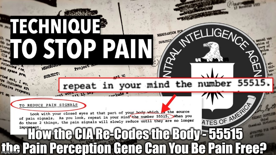 how-the-cia-re-codes-the-body-55515-the-pain-perception-gene-can-you-be-pain-free-video