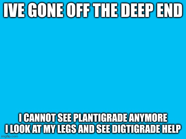 hmm | IVE GONE OFF THE DEEP END; I CANNOT SEE PLANTIGRADE ANYMORE

I LOOK AT MY LEGS AND SEE DIGTIGRADE HELP | made w/ Imgflip meme maker