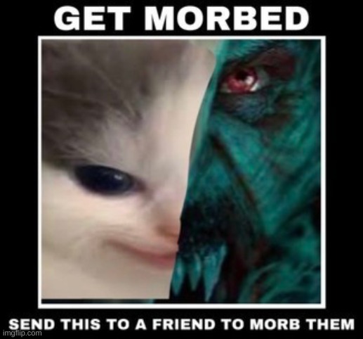 you just got morbed | image tagged in get morbed | made w/ Imgflip meme maker
