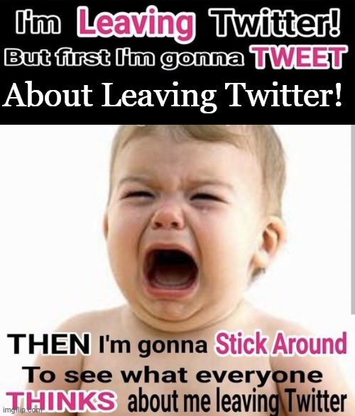 About Leaving Twitter! | made w/ Imgflip meme maker