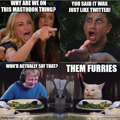 Damn them! | WHY ARE WE ON THIS MASTODON THING? YOU SAID IT WAS JUST LIKE TWITTER! WHO'D ACTUALLY SAY THAT? THEM FURRIES | image tagged in woman screaming at cat four panel,twitter | made w/ Imgflip meme maker