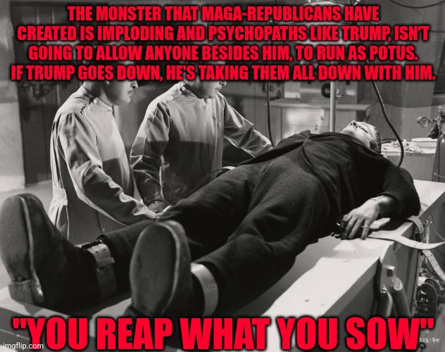 Frankenstein | THE MONSTER THAT MAGA-REPUBLICANS HAVE CREATED IS IMPLODING AND PSYCHOPATHS LIKE TRUMP, ISN'T GOING TO ALLOW ANYONE BESIDES HIM, TO RUN AS POTUS. IF TRUMP GOES DOWN, HE'S TAKING THEM ALL DOWN WITH HIM. "YOU REAP WHAT YOU SOW" | image tagged in frankenstein | made w/ Imgflip meme maker