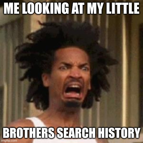 crab man eww | ME LOOKING AT MY LITTLE; BROTHERS SEARCH HISTORY | image tagged in crab man eww | made w/ Imgflip meme maker