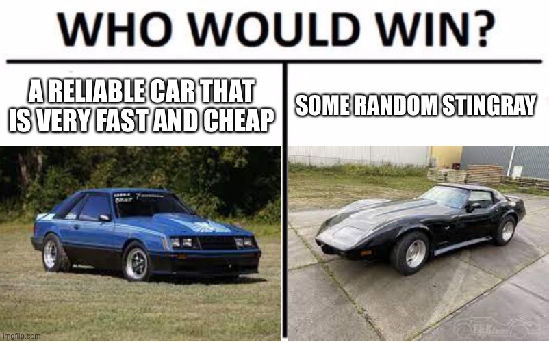 Pick your choice | A RELIABLE CAR THAT IS VERY FAST AND CHEAP; SOME RANDOM STINGRAY | image tagged in who would win,ford mustang,corvette | made w/ Imgflip meme maker